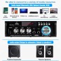 Etlephe Amplificador Audio, Amplificador HiFi, 600W Amplificador Estéreo Bluetooth 5.0,12V 220V 2 Canales, Pantalla LCD, Alta