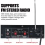 Etlephe Amplificador Audio, Amplificador HiFi, 600W Amplificador Estéreo Bluetooth 5.0,12V 220V 2 Canales, Pantalla LCD, Alta