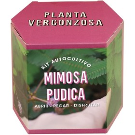 Resetea | Kit autocultivo | Mimosa pudica