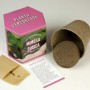 Resetea | Kit autocultivo | Mimosa pudica