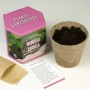 Resetea | Kit autocultivo | Mimosa pudica