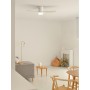 CREATE / WINDCALM/Ventilador de techo ABS con luz blanco aspas efecto madera clara y mando / 40W, Silencioso, Ø132 cm, 6