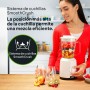 Braun PowerBlender 1, Batidora con Jarra Triangular Única en Vidrio, 2 Velocidades, Función de Trituración de Hielo, JB1050WH,