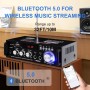 Amplificador Audio 600W, HiFi Audio Stereo Bluetooth Radio Portátil para Coche o Casa, con Mando a Distancia y Mini Amplificador