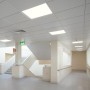 M Ledme - Pack de 2 Panel LED 60X60 cm 42W, Blanco neutro 4500K, 4200 lumenes, Driver Incluido, Empotrable, Ideal para oficinas.