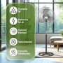 Aspes Ventilador de Pie Negro, AVP501800OVN. 3 Velocidades, 3, Oscilante