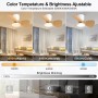 Ateroll Ventilador de Techo con Luz, Ø61CM, LED Regulable 3CCT (3000K-4000K-5000K), 1500LM Ventilador de Techo con Mando a