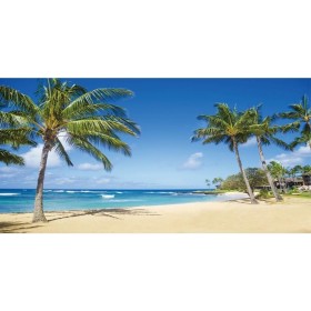 Renaiss 3.6x1.8m Fondo de Playa de Verano Océano Tropical Playa de Arena Palmeras Fondo de fotografía Niños Adultos Vacaciones