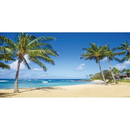 Renaiss 3.6x1.8m Fondo de Playa de Verano Océano Tropical Playa de Arena Palmeras Fondo de fotografía Niños Adultos Vacaciones
