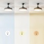 Cecotec Ventilador de Techo con Luz Energysilence Aero 4320 Invisible Wood&White. 35W, 6 Velocidades, Aspas Retráctiles, Mando a