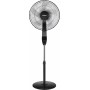Bastilipo - Ventilador de pie con mando a distancia, 50W, base redonda, gama premium, modelo Coin Black