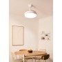 CREATE / WIND CLEAR S/Ventilador de techo con luz madera clara con mando y Wifi / 40W, Ø91 cm, temporizador, 6 velocidades,