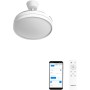 CREATE / WIND CLEAR S/Ventilador de techo con luz negro con mando y Wifi / 40W, Ø91 cm, temporizador, 6 velocidades, aspas