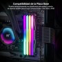 fanxiang RGB RAM DDR4 32 GB (2x16 GB) 3200 MHz CL18 V1.35, Memoria RAM de Overclocking para Computadoras de Escritorio para