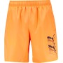 Puma Trajes de baño para Hombre