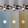 Cecotec Ventilador de Techo con Luz EnergySilence Aero 4200 GoldDarkWood. 53W, Diámetro 42”, Luz LED de 15W en 3 Tonos, Mando a