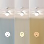 Cecotec Ventilador de Techo con Luz EnergySilence Aero 4200 GoldDarkWood. 53W, Diámetro 42”, Luz LED de 15W en 3 Tonos, Mando a