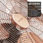 Brandson - Ventilador estilo retro - Ventiladoresde mesa - ventilador de suelo 30cm - alto flujo de aire - inclinable - negro