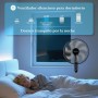 Taylor Swoden Ventilador de pie Potente, Oscilante, Altura Regulable, Ventiladores Silencioso, 3 Velocidades, 7 Aspas, Rejilla