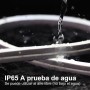 EXTRASTAR Tira de Luz LED de Neón, Luz Blanca Fría, 12V, Cable 5M, 120 LED, Impermeable IP65, 8.5W/M, No Regulable, Tira de LED