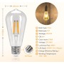 Aigostar ST64 Bombilla Edison Estilo Vintage. Bombilla Led E27 (Casquillo Gordo, 8W (Equivalente A 60W), Bombilla De Filamento