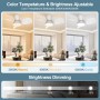 Ateroll Ventilador de Techo con Luz, Ø76CM, LED Regulable 3CCT (3000K-4000K-5000K), 1500LM Ventilador de Techo con Mando a