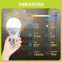 GY Bombilla E27 LED Blanco Neutro 14W 4000K 1540 Lumen, A60 de Bajo Consumo, Sustituye a las Halógenas de 100W, No Regulable 12