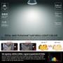 EACLL Bombillas LED GU5.3 Blanco Frío, 6W Equivalente 50W MR16 Halógena, Pack de 6, Focos Sin Parpadeo AC/DC 12V, 6000K 485