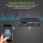 LiNKFOR Amplificador de Audio Bluetooth 5.0 Amplificador Estéreo de Audio 2.0 Canales 50W + 50W con 2 Entradas RCA Radio FM MP3