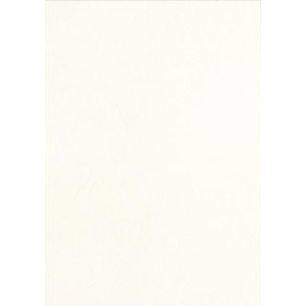 Pavo - Tapa para encuadernar (aspecto de cuero, tamaño DIN A3, 250 g/m², 100 unidades), color blanco