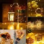 Microwear Cadena de luces con clip de fotos,fuente de alimentación USB actualizada de 100 LED de alambre de cobre de 10 m con