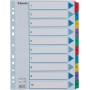 ESSELTE 100161 - Indice para carpetas multitaladro cartón MYLAR DIN A4 con cartulina índice color 1-10 multicolor, Blanco