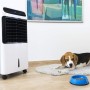 Cecotec Climatizador Evaporativo Portátil Frío EnergySilence PureTech 5500. 80 W,3 en 1: Frío, Ionizador y Ventilador, 12 L, 3