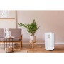 facula - Aire Acondicionado portátil 3en1 Artic 7000BTU | Refrigeración + ventilación + deshumidificación | Temporizador