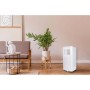 facula - Aire Acondicionado portátil 3en1 Artic 7000BTU | Refrigeración + ventilación + deshumidificación | Temporizador