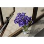 Sony Lente estándar SEL-50F18F (longitud focal fija, 50 mm, F1.8, fotograma completo, adecuado para las series A7, A6000, A5100,