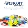 Westcott E-10652 00 llaveros de 100 unidades, robustos colgantes para escribir con etiquetas intercambiables, con anillo de