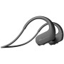 Sony NW-WS413 Reproductor MP3 Todo en Uno a Prueba de Agua, 4 GB, con Batería, Negro