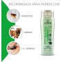 Artero Champú Bye Bye. para Perros, con Arbol del Té. Efecto Anti picores y calmante. (5 L)