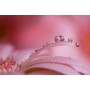 Sony FE 90 f/2.8 G - Full-Frame, Macro, Rango Medio, Objetivo Prime (SEL90M28G)