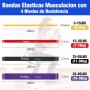 Fokky Gomas Elasticas Musculacion, Bandas Elasticas con 4 Niveles de Resistencia, Bandas Elasticas Musculacion con Anclaje de