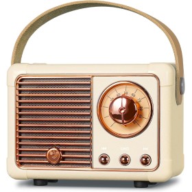PRUNUS J-999 Mini Altavoz Bluetooth con Radio FM, Radio Vintage Retro con Bateria Recargable, Soporte TF Card/AUX/USB, Bluetooth