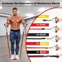 Fokky Gomas Elasticas Musculacion, 3 Bandas Elasticas Musculacion, con Anclaje de Puerta Cintas Gomas Elasticas Musculacion,