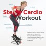 Sunny Health & Fitness Stepper de bajo Impacto para Entrenamiento Completo con Bandas de Resistencia - SF-S0978