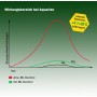 JBL Lanzador de bacterias Denitrol para acuarios de Agua de mar y Dulce, para una rápida población de Peces