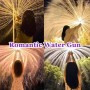 HASAIKA® Pistola de Agua, Pistola de agua de gran capacidad y largo alcance para el verano al aire libre, piscinas, playas y