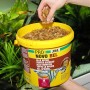 JBL PRONOVO BEL Flakes, alimento Principal para Todos los Peces de Acuario de 8 a 20 cm, Copos de Comida para Peces, Talla M, 1