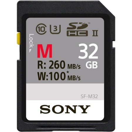Sony SFG1M - Tarjeta de memoria SD de 128 GB, color negro