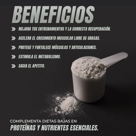 Healthy Fusion Whey Protein Colágeno y Magnesio | Rápida asimilación | Aumenta masa muscular | Mejora tus entrenamientos