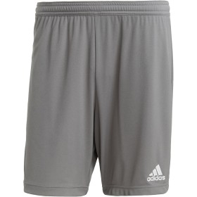 adidas Entrada 22 Shorts - Bermudas Hombre